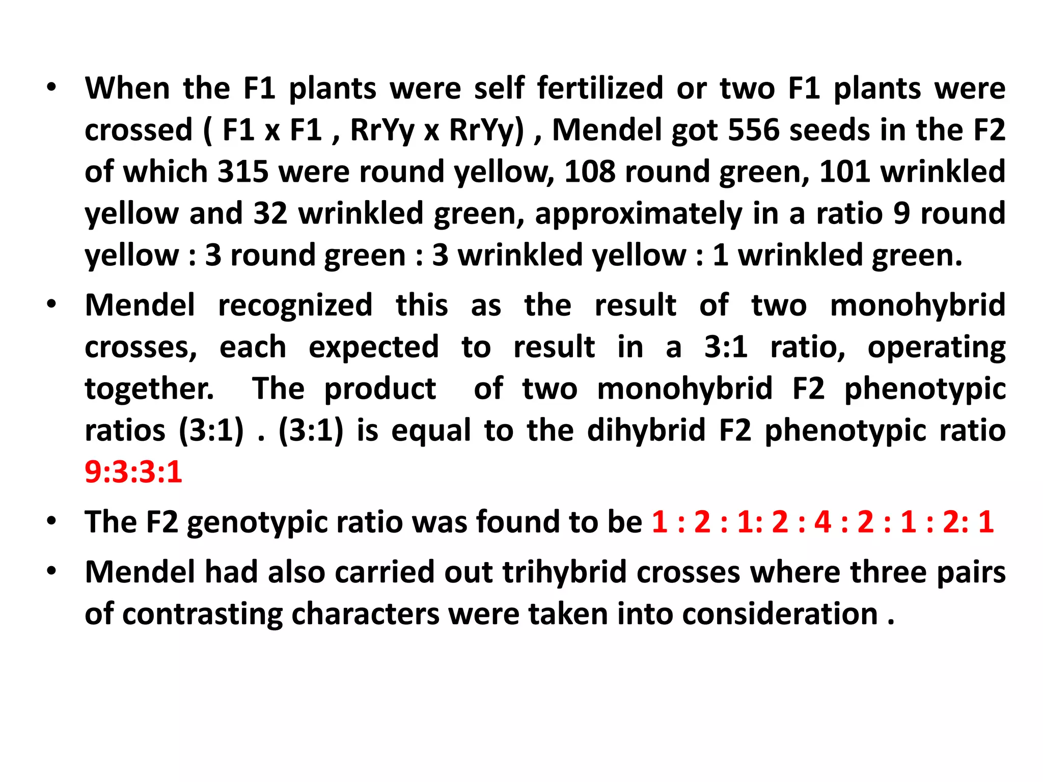 • When the F1 plants were self fertilized or two F1 plants were
crossed ( F1 x F1 , RrYy x RrYy) , Mendel got 556 seeds in the F2
of which 315 were round yellow, 108 round green, 101 wrinkled
yellow and 32 wrinkled green, approximately in a ratio 9 round
yellow : 3 round green : 3 wrinkled yellow : 1 wrinkled green.
• Mendel recognized this as the result of two monohybrid
crosses, each expected to result in a 3:1 ratio, operating
together. The product of two monohybrid F2 phenotypic
ratios (3:1) . (3:1) is equal to the dihybrid F2 phenotypic ratio
9:3:3:1
• The F2 genotypic ratio was found to be 1 : 2 : 1: 2 : 4 : 2 : 1 : 2: 1
• Mendel had also carried out trihybrid crosses where three pairs
of contrasting characters were taken into consideration .
 