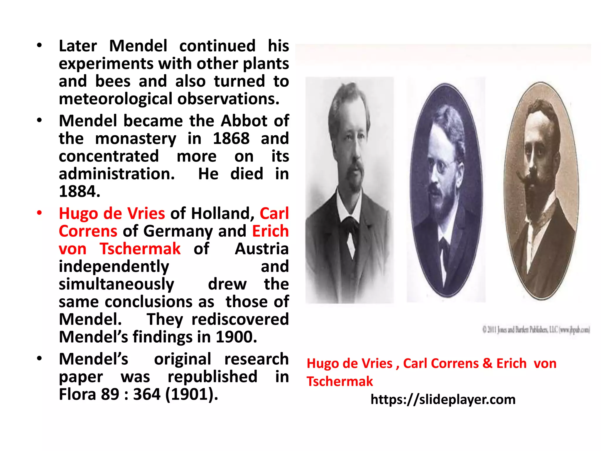 • Later Mendel continued his
experiments with other plants
and bees and also turned to
meteorological observations.
• Mendel became the Abbot of
the monastery in 1868 and
concentrated more on its
administration. He died in
1884.
• Hugo de Vries of Holland, Carl
Correns of Germany and Erich
von Tschermak of Austria
independently and
simultaneously drew the
same conclusions as those of
Mendel. They rediscovered
Mendel’s findings in 1900.
• Mendel’s original research
paper was republished in
Flora 89 : 364 (1901).
Hugo de Vries , Carl Correns & Erich von
Tschermak
https://slideplayer.com
 