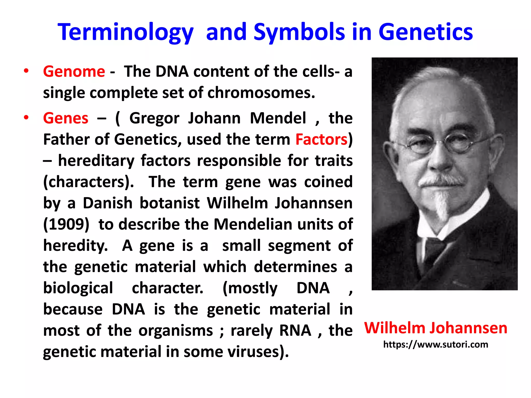 Terminology and Symbols in Genetics
• Genome - The DNA content of the cells- a
single complete set of chromosomes.
• Genes – ( Gregor Johann Mendel , the
Father of Genetics, used the term Factors)
– hereditary factors responsible for traits
(characters). The term gene was coined
by a Danish botanist Wilhelm Johannsen
(1909) to describe the Mendelian units of
heredity. A gene is a small segment of
the genetic material which determines a
biological character. (mostly DNA ,
because DNA is the genetic material in
most of the organisms ; rarely RNA , the
genetic material in some viruses).
Wilhelm Johannsen
https://www.sutori.com
 