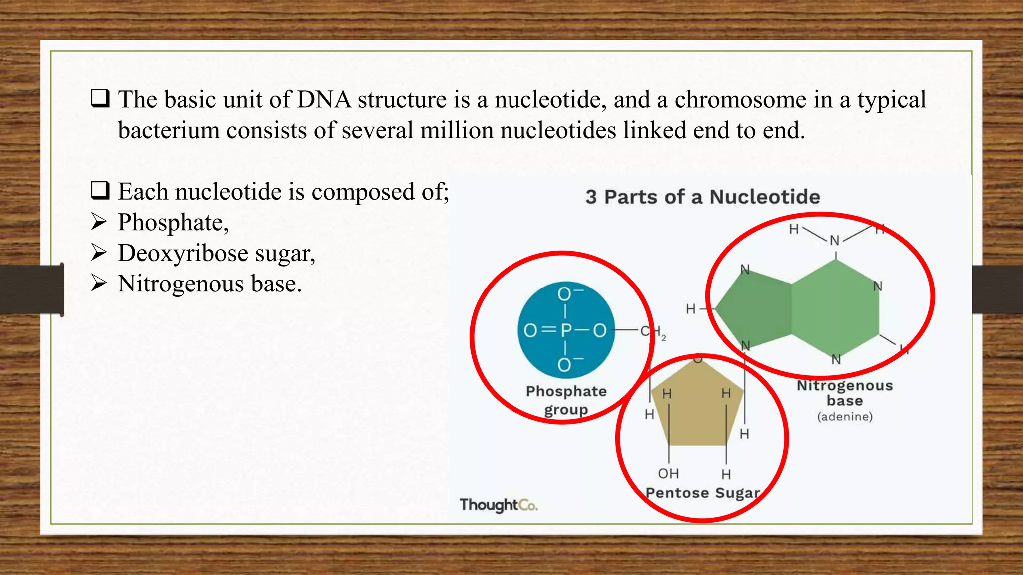  The basic unit of DNA structure is a nucleotide, and a chromosome in a typical
bacterium consists of several million nucleotides linked end to end.
 Each nucleotide is composed of;
 Phosphate,
 Deoxyribose sugar,
 Nitrogenous base.
 