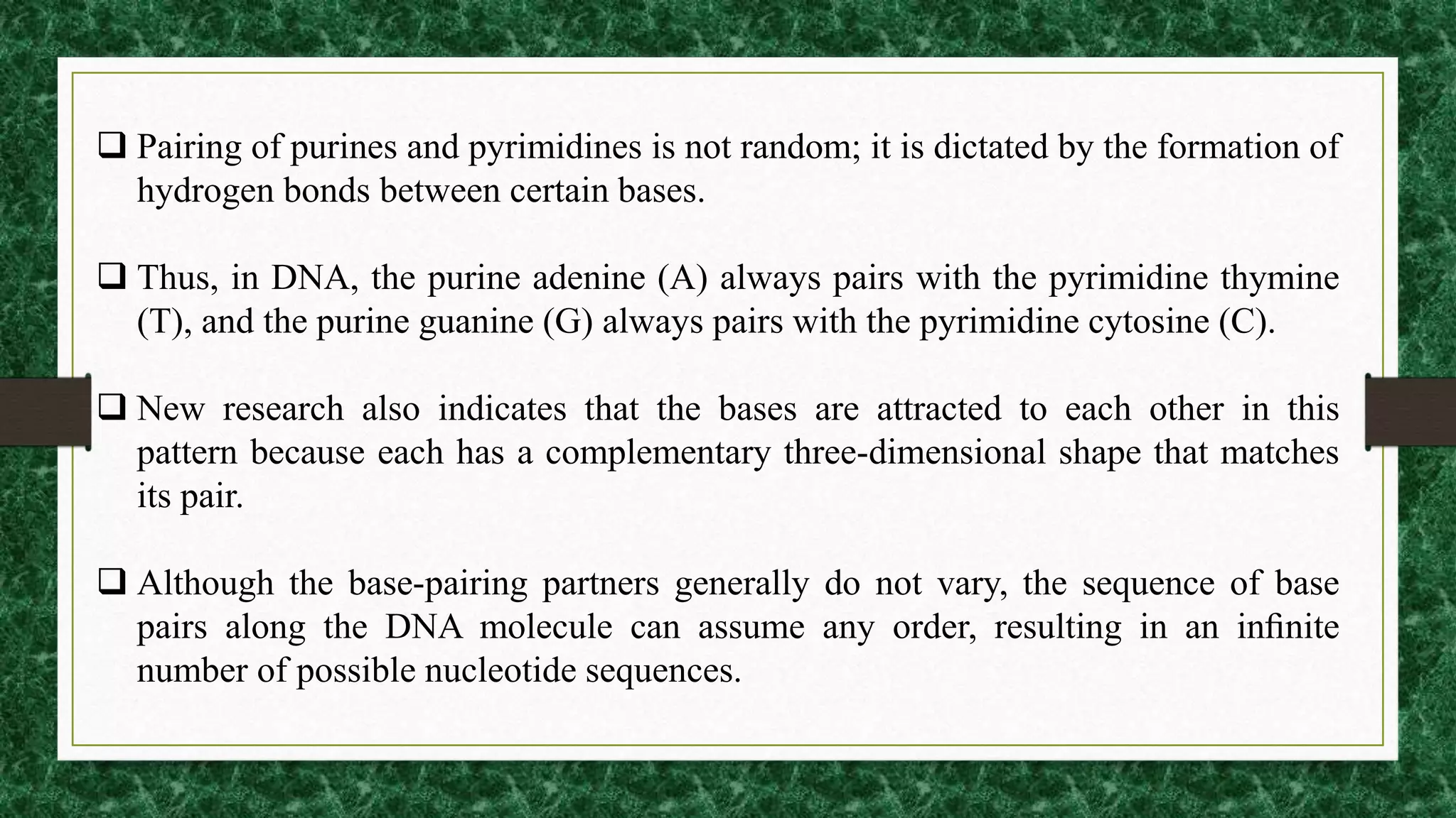  Pairing of purines and pyrimidines is not random; it is dictated by the formation of
hydrogen bonds between certain bases.
 Thus, in DNA, the purine adenine (A) always pairs with the pyrimidine thymine
(T), and the purine guanine (G) always pairs with the pyrimidine cytosine (C).
 New research also indicates that the bases are attracted to each other in this
pattern because each has a complementary three-dimensional shape that matches
its pair.
 Although the base-pairing partners generally do not vary, the sequence of base
pairs along the DNA molecule can assume any order, resulting in an inﬁnite
number of possible nucleotide sequences.
 