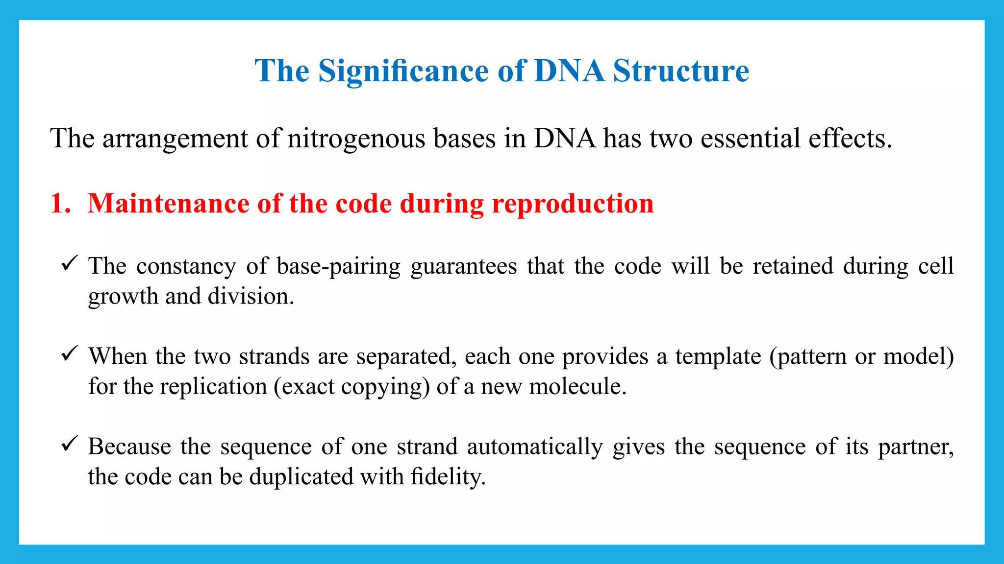 The Signiﬁcance of DNA Structure
The arrangement of nitrogenous bases in DNA has two essential effects.
1. Maintenance of the code during reproduction
 The constancy of base-pairing guarantees that the code will be retained during cell
growth and division.
 When the two strands are separated, each one provides a template (pattern or model)
for the replication (exact copying) of a new molecule.
 Because the sequence of one strand automatically gives the sequence of its partner,
the code can be duplicated with ﬁdelity.
 