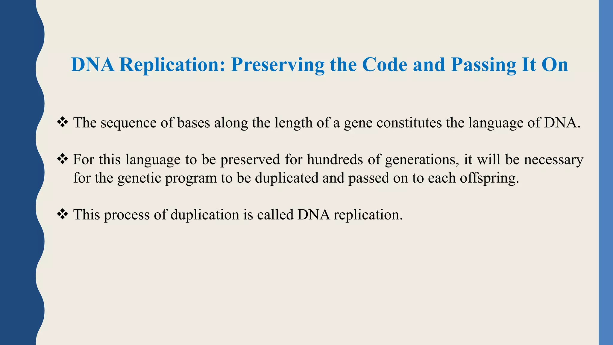 DNA Replication: Preserving the Code and Passing It On
 The sequence of bases along the length of a gene constitutes the language of DNA.
 For this language to be preserved for hundreds of generations, it will be necessary
for the genetic program to be duplicated and passed on to each offspring.
 This process of duplication is called DNA replication.
 