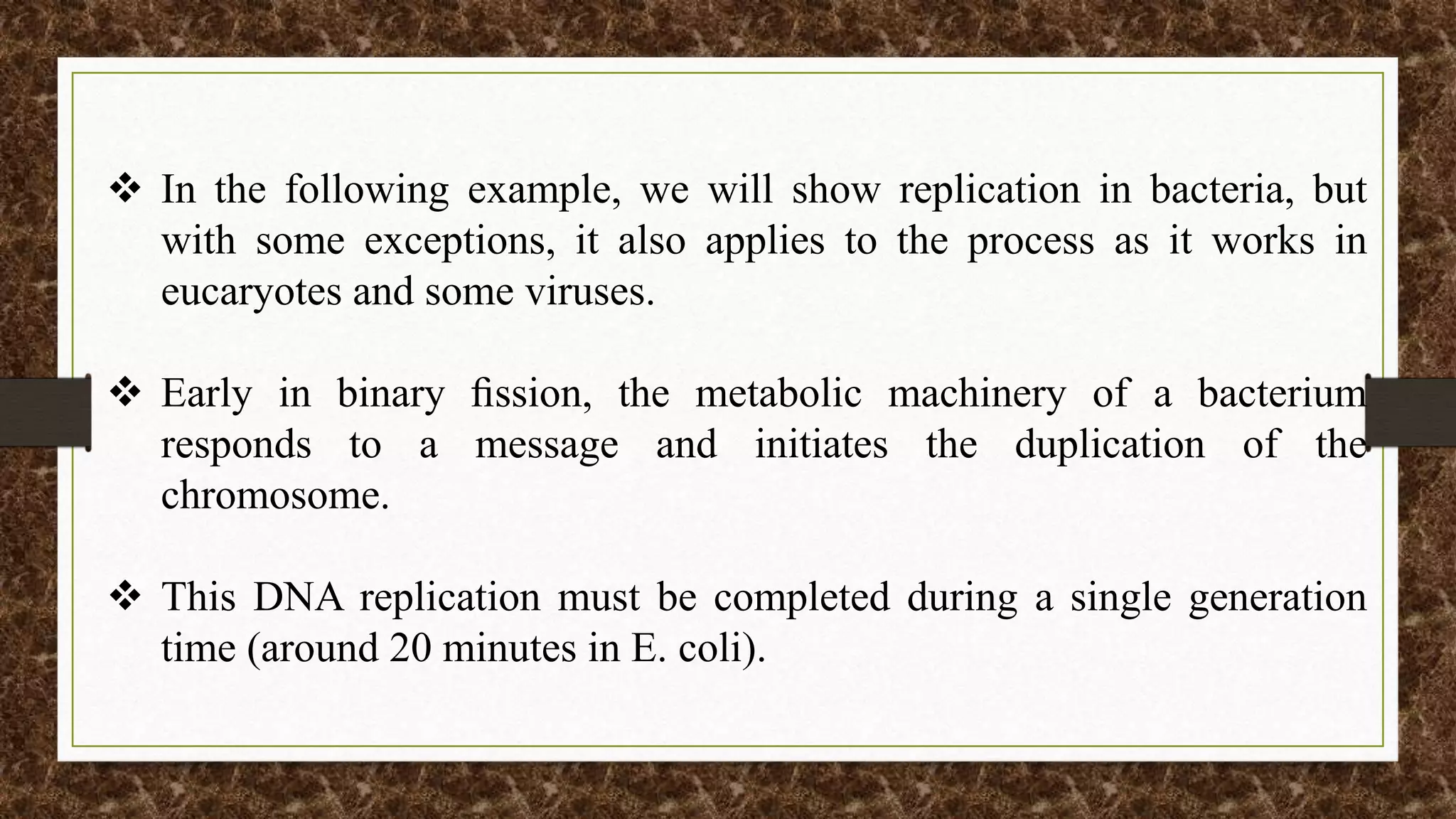  In the following example, we will show replication in bacteria, but
with some exceptions, it also applies to the process as it works in
eucaryotes and some viruses.
 Early in binary ﬁssion, the metabolic machinery of a bacterium
responds to a message and initiates the duplication of the
chromosome.
 This DNA replication must be completed during a single generation
time (around 20 minutes in E. coli).
 