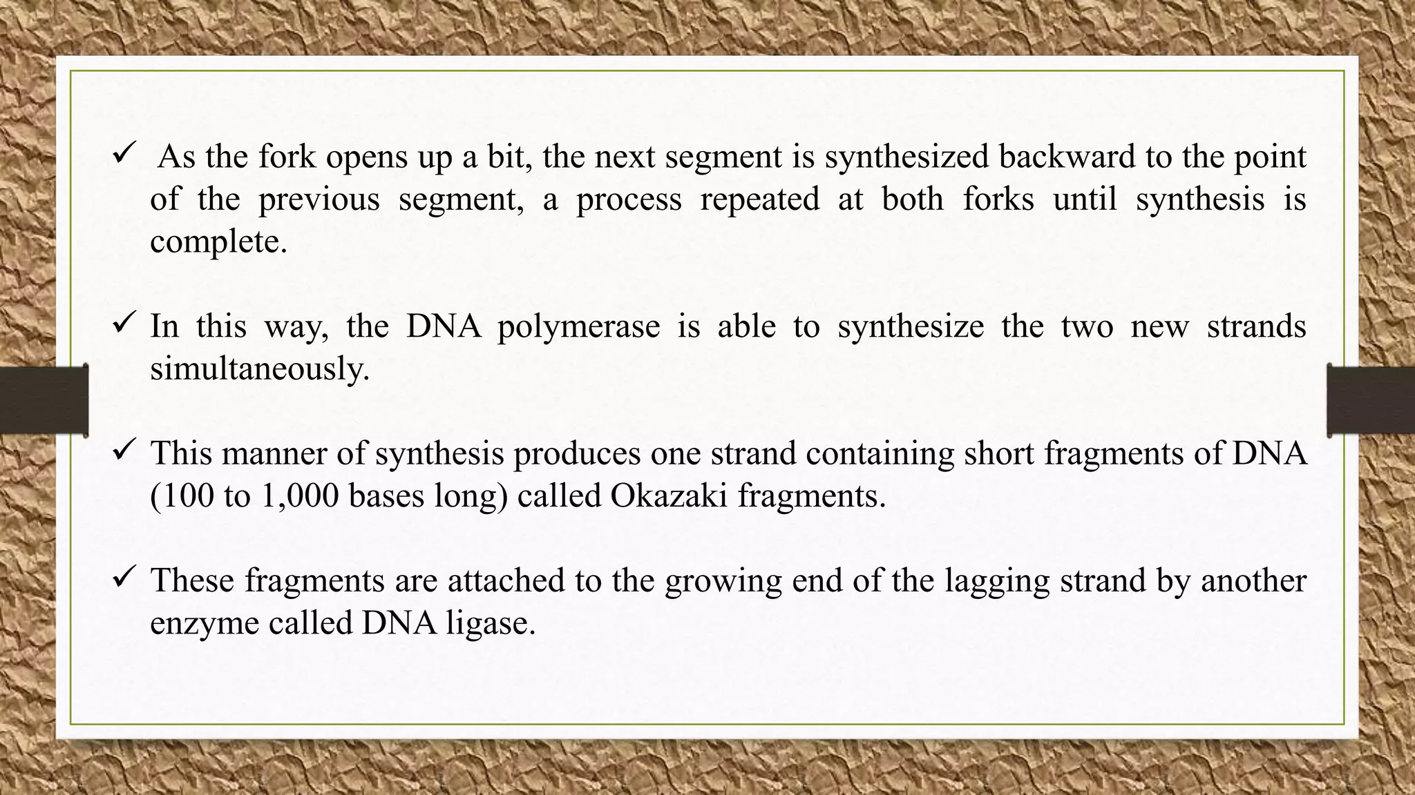  As the fork opens up a bit, the next segment is synthesized backward to the point
of the previous segment, a process repeated at both forks until synthesis is
complete.
 In this way, the DNA polymerase is able to synthesize the two new strands
simultaneously.
 This manner of synthesis produces one strand containing short fragments of DNA
(100 to 1,000 bases long) called Okazaki fragments.
 These fragments are attached to the growing end of the lagging strand by another
enzyme called DNA ligase.
 