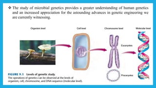 Introduction to genetics and genes unlocking the secrets of heredity by noor zada