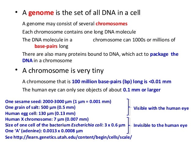 ebook Connections, curvature and cohomology. Vol. III: