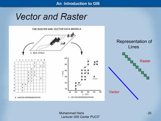 Representation of
                                      Lines


                                            Raster




                             Vector




Muhammad Haris                                  20
 Lecturer GIS Center PUCIT
 