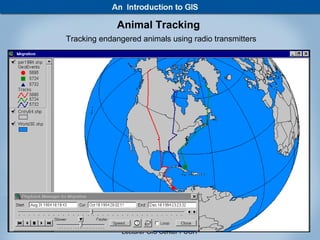 Animal Tracking
Tracking endangered animals using radio transmitters




              Muhammad Haris                           35
               Lecturer GIS Center PUCIT
 