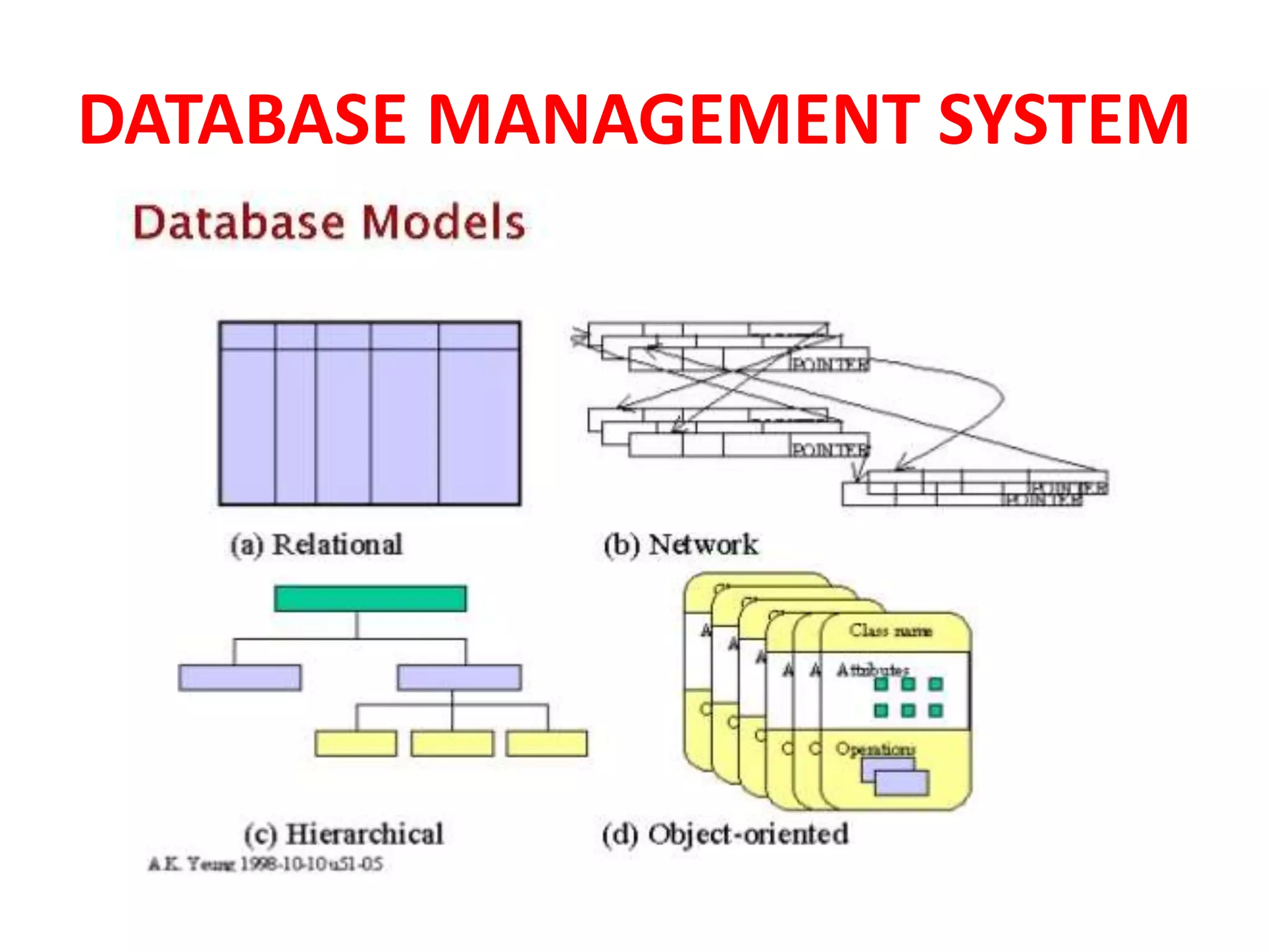 DATABASE MANAGEMENT SYSTEM
 