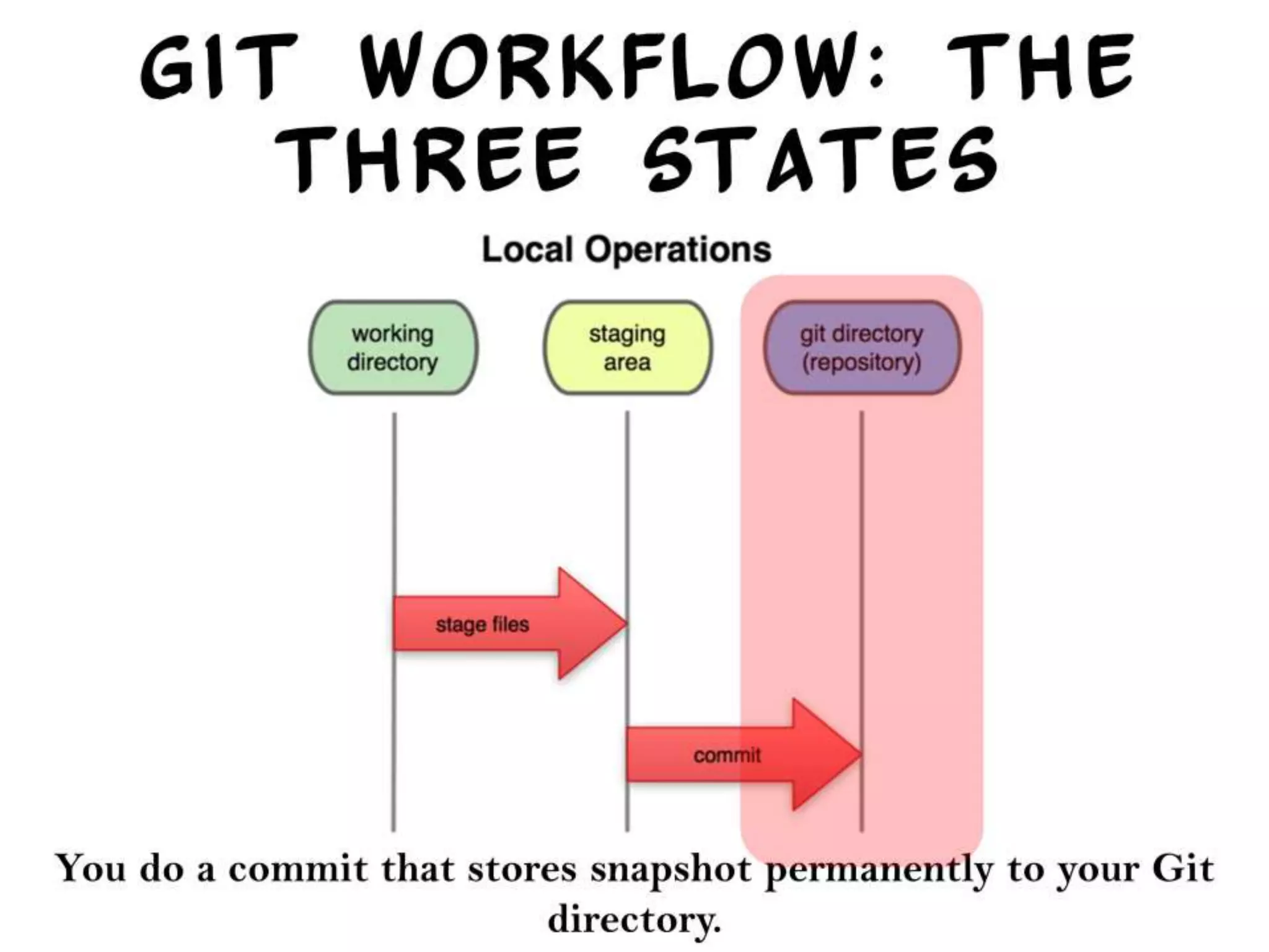 Introduction to Git/Github - A beginner's guide