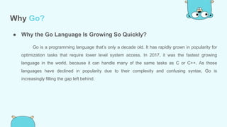 Introduction to go lang | PPTX