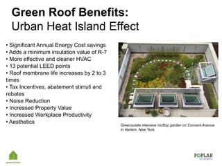 Introduction to Green Roofs | PPTX