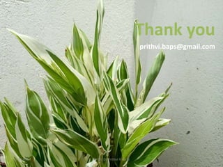 Thank you
prithvi.baps@gmail.com
11:01 AM © CA. Dr. Prithvi R Parhi 45
 