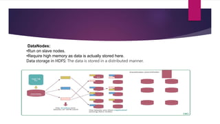DataNodes:
•Run on slave nodes.
•Require high memory as data is actually stored here.
Data storage in HDFS: The data is stored in a distributed manner.
 
