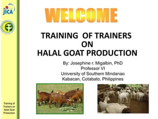 TRAINING OF TRAINERS
ON
HALAL GOAT PRODUCTION
Training of
Trainers on
Halal Goat
Production
By: Josephine r. Migalbin, PhD
Professor VI
University of Southern Mindanao
Kabacan, Cotabato, Philippines
 