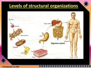 Introduction to HAP
Levels of structural organizations
Digestive system
 