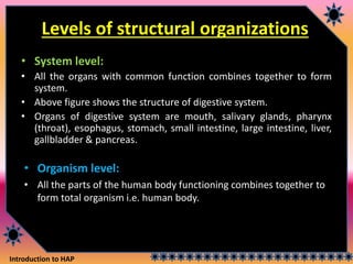Introduction to HAP
Levels of structural organizations
• System level:
• All the organs with common function combines together to form
system.
• Above figure shows the structure of digestive system.
• Organs of digestive system are mouth, salivary glands, pharynx
(throat), esophagus, stomach, small intestine, large intestine, liver,
gallbladder & pancreas.
• Organism level:
• All the parts of the human body functioning combines together to
form total organism i.e. human body.
 