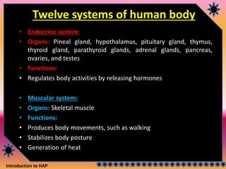 Introduction to HAP
Twelve systems of human body
• Endocrine system:
• Organs: Pineal gland, hypothalamus, pituitary gland, thymus,
thyroid gland, parathyroid glands, adrenal glands, pancreas,
ovaries, and testes
• Functions:
• Regulates body activities by releasing hormones
• Muscular system:
• Organs: Skeletal muscle
• Functions:
• Produces body movements, such as walking
• Stabilizes body posture
• Generation of heat
 