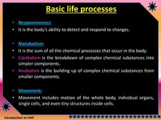 Introduction to HAP
Basic life processes
• Responsiveness:
• It is the body’s ability to detect and respond to changes.
• Metabolism:
• It is the sum of all the chemical processes that occur in the body.
• Catabolism is the breakdown of complex chemical substances into
simpler components.
• Anabolism is the building up of complex chemical substances from
smaller components.
• Movement:
• Movement includes motion of the whole body, individual organs,
single cells, and even tiny structures inside cells.
 