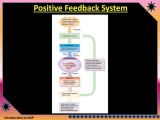 Introduction to HAP
Positive Feedback System
 