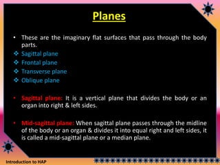 Introduction to HAP
Planes
• These are the imaginary flat surfaces that pass through the body
parts.
 Sagittal plane
 Frontal plane
 Transverse plane
 Oblique plane
• Sagittal plane: It is a vertical plane that divides the body or an
organ into right & left sides.
• Mid-sagittal plane: When sagittal plane passes through the midline
of the body or an organ & divides it into equal right and left sides, it
is called a mid-sagittal plane or a median plane.
 