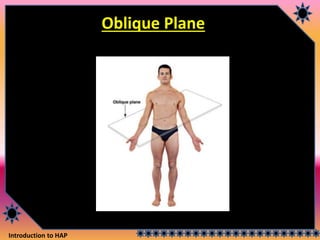 Introduction to HAP
Oblique Plane
 