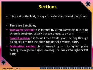 Introduction to HAP
Sections
• It is a cut of the body or organs made along one of the planes.
• There are 3 sections;
• Transverse section: It is formed by a transverse plane cutting
through an object, usually at right angles to an axis.
• Frontal section: It is formed by a frontal plane cutting through
an object, dividing the body into dorsal & ventral parts.
• Midsagittal section: It is formed by a mid-sagittal plane
cutting through an object, dividing the body into right & left
parts
 