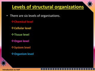 Introduction to HAP
Levels of structural organizations
• There are six levels of organisations.
Chemical level
Cellular level
Tissue level
Organ level
System level
Organism level
 