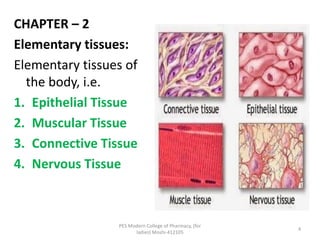 Haps Meaning introduction to HAP,cell meaning,composition,function | PDF