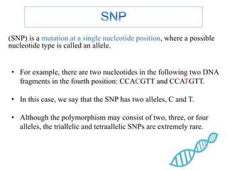 Triallele Pattern Introduction to haplotype blocks .pptx