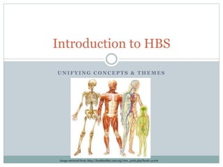U N I F Y I N G C O N C E P T S & T H E M E S
Introduction to HBS
Image retrieved from: http://bookbuilder.cast.org/view_print.php?book=41276
 