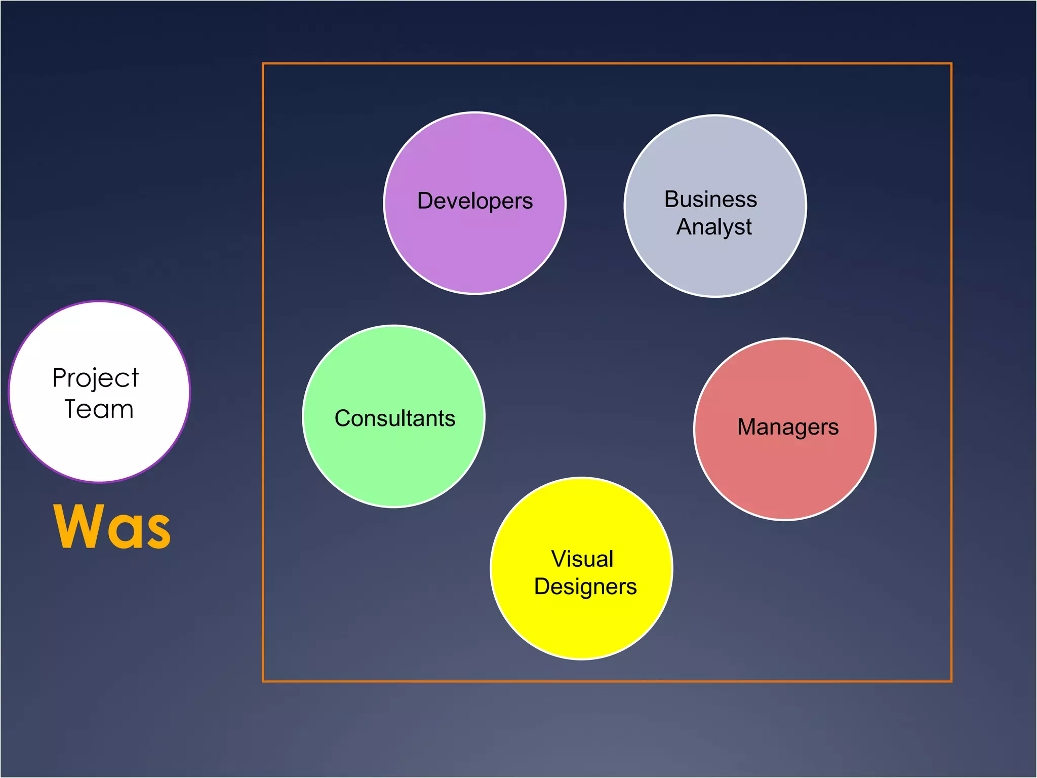 Was Project  Team Developers Business  Analyst Managers Visual  Designers Consultants 