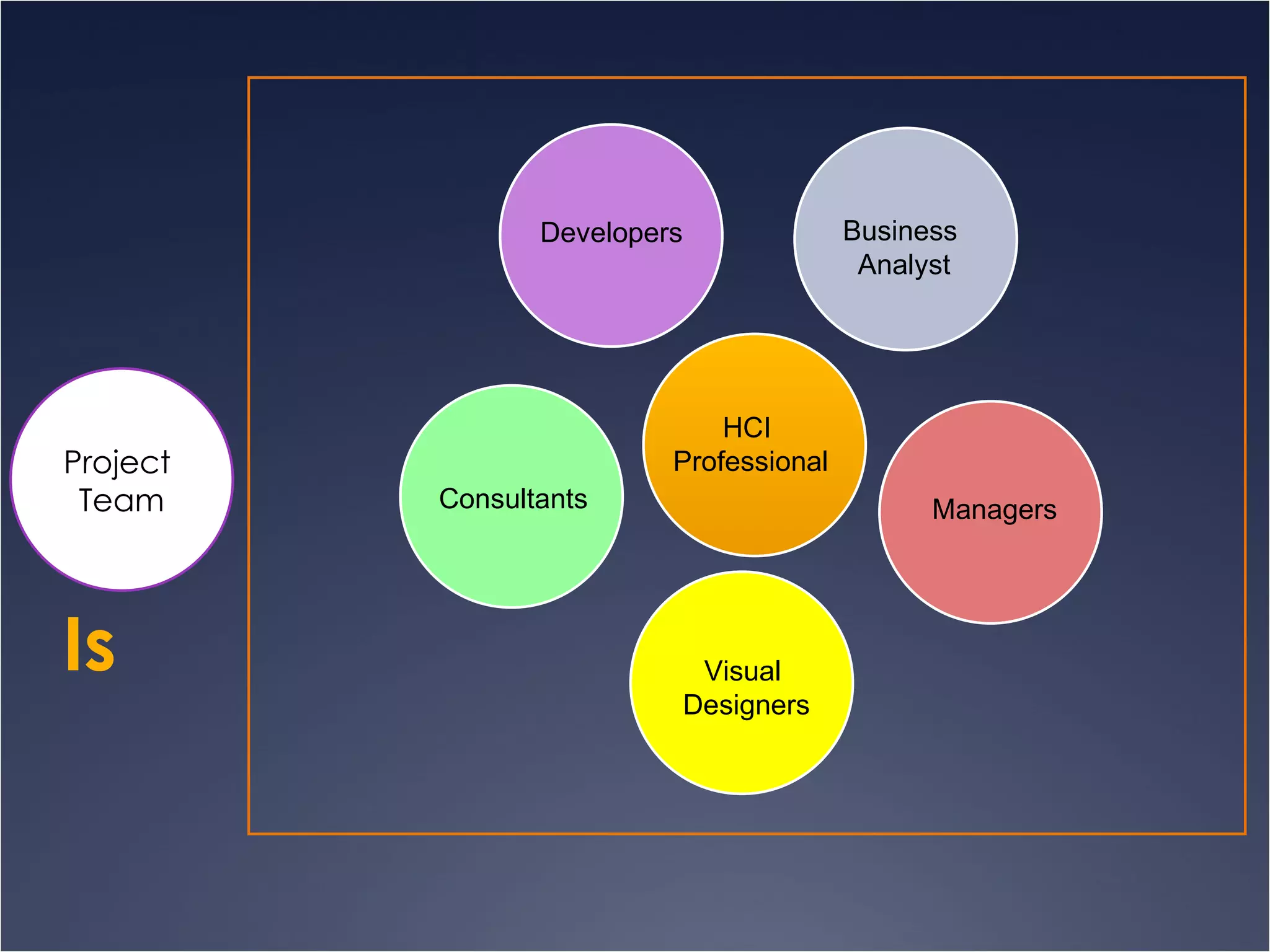 Is Project  Team Developers Business  Analyst Managers Visual  Designers Consultants HCI  Professional 