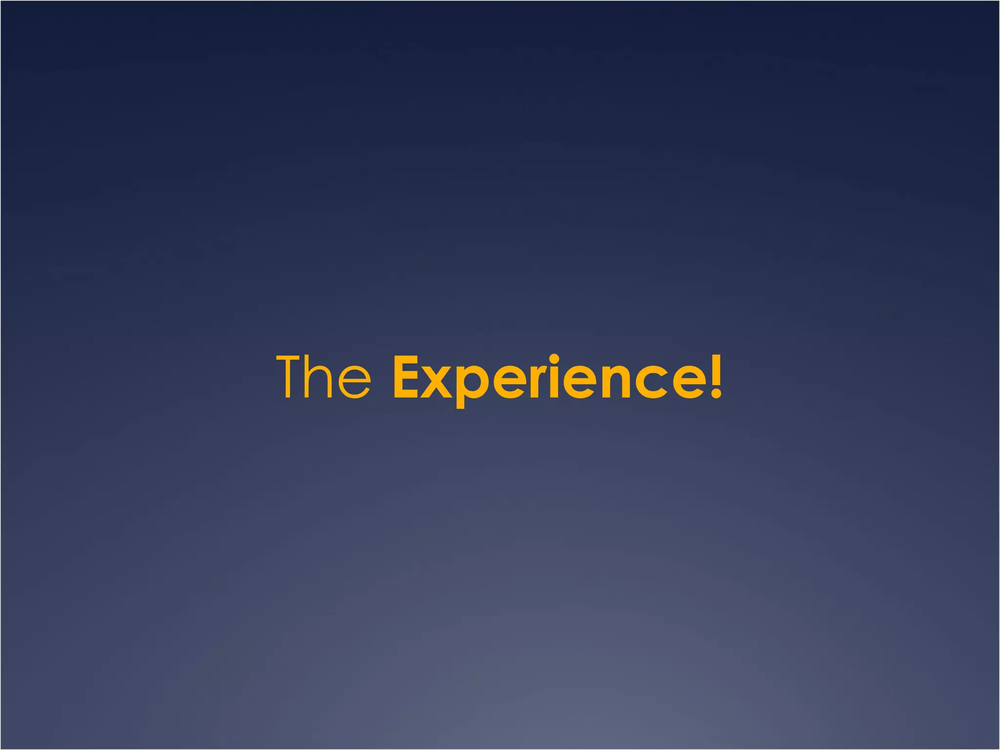The  Experience! 