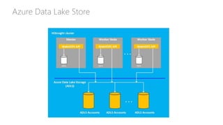 Azure Data Lake Store
 