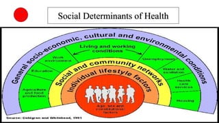 Social Determinants of Health
 