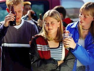 Peers:people of the same age who share similar interest