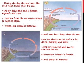 • During the day the sun heats the
land much faster than the sea.
•The air above the land is heated,
expands and rises.
• Cold air from the sea moves inland
to take its place.
• Hence, sea breeze is obtained.
•Land loses heat faster than the sea.
•Hot air above the sea which is less
dense, expands and rises.
•Cold air from the land moves
towards the sea.
•Convection current is formed.
•Land Breeze is obtained.
 
