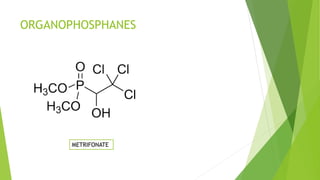 ORGANOPHOSPHANES
METRIFONATE
 