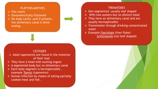 PLATYHELMINTHES
 Flat worm
 Dorsoventrically flattened
 No body cavity ,and if present,
the alimentary canal is blind
ending
CESTODES
 Adult tapeworms are found in the intestine
of their host
 They have a head with sucking organs
 A segmented body but no alimentary canal
 Each body segment is hermaphrodite ,
example Taenia (tapeworm)
 Human infection by means of eating partially
cooked meat and fish .
TREMATODES
 Non-segmented ,usually leaf shaped
 With two suckers but no distinct head
 They have an alimentary canal and are
usually hermaphrodite
 Transmission through drinking contaminated
water
 Example Fasciolops (liver fluke)
Schistosoma (not leaf shaped)
 