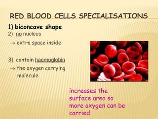 RED BLOOD CELLS SPECIALISATIONS
2) no nucleus
 extra space inside
3) contain haemoglobin
 the oxygen carrying
molecule
1) biconcave shape
increases the
surface area so
more oxygen can be
carried
 