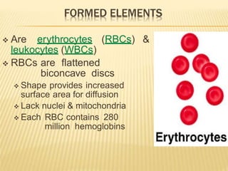  Are erythrocytes (RBCs) &
leukocytes (WBCs)
 RBCs are flattened
biconcave discs
 Shape provides increased
surface area for diffusion
 Lack nuclei & mitochondria
 Each RBC contains 280
million hemoglobins
 