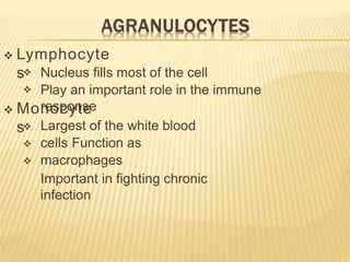  Lymphocyte
s

Nucleus fills most of the cell
Play an important role in the immune
response
 Monocyte
s


Largest of the white blood
cells Function as
macrophages
Important in fighting chronic
infection
 
