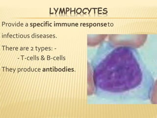 Provide a specific immune responseto
infectious diseases.
There are 2 types: -
-T-cells & B-cells
They produce antibodies.
 
