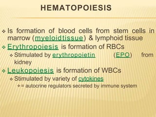 HEMATOPOIESIS
 Is formation of blood cells from stem cells in
marrow (myeloidtissue) & lymphoid tissue
 Erythropoiesis is formation of RBCs
 Stimulated by erythropoietin (EPO) from
kidney
 Leukopoiesis is formation of WBCs
 Stimulated by variety of cytokines
 = autocrine regulators secreted by immune system
 