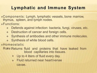 Lymphatic and Immune System
Defends against infection: bacteria, fungi, viruses, etc.
Destruction of cancer and foreign cells.
Synthesis of antibodies and other immune molecules.
Synthesis of white blood cells.
Components: Lymph, lymphatic vessels, bone marrow,
thymus, spleen, and lymph nodes.
Functions:




Homeostatic
Role:
 Returns fluid and proteins that have leaked from
blood capillaries into tissues.


Up to 4 liters of fluid every day.
Fluid returned near heart/venae
cavae.
 