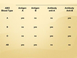 ABO
Blood Type
Antigen
A
Antigen
B
Antibody
anti-A
Antibody
Anti-B
A yes no no yes
B no yes yes no
O no no yes yes
AB yes yes no no
 