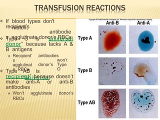  If blood types don't
match,
recipient’s
antibodie
s agglutinate donor’s RBCs
 Type O is “universal
donor” because lacks A &
B antigens
antibodies
won’t
donor’s Type
O
 Recipient’
s
agglutinat
e RBCs
 Type AB is
“universal
recipient” because doesn’t
make anti-A or anti-B
antibodies
 Won’t agglutinate donor’s
RBCs
 Insert fig. 13.6
 