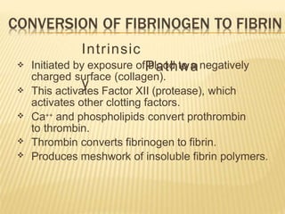 Intrinsic
Pathwa
y
Initiated by exposure of blood to a negatively
charged surface (collagen).
This activates Factor XII (protease), which
activates other clotting factors.
Ca++ and phospholipids convert prothrombin
to thrombin.
Thrombin converts fibrinogen to fibrin.
Produces meshwork of insoluble fibrin polymers.





 